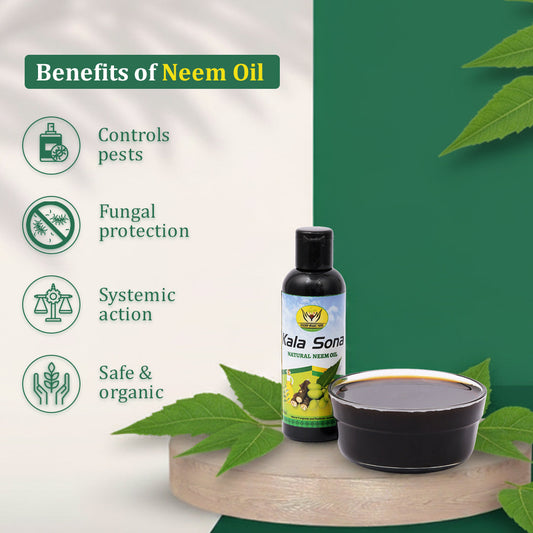 Neem Oil for Plants: Uses, Dosage, and Benefits