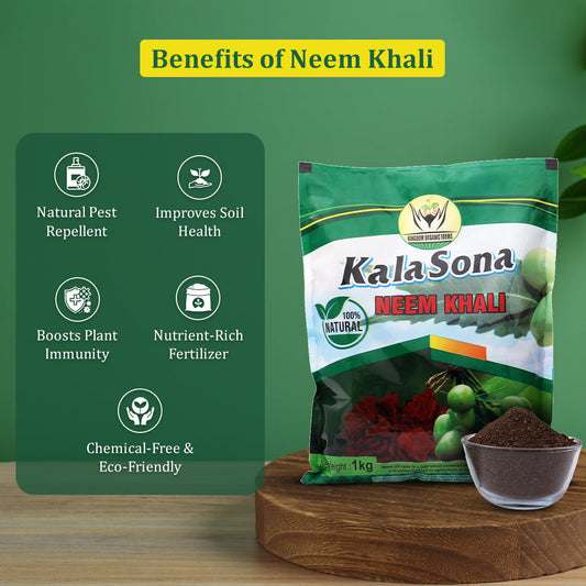 Neem Khali (Neem Cake) Benefits for Soil, Roots, and Pest Control