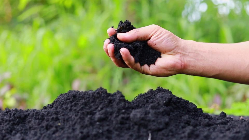 What Is Vermicompost and How Is It Made? (Step-by-Step)