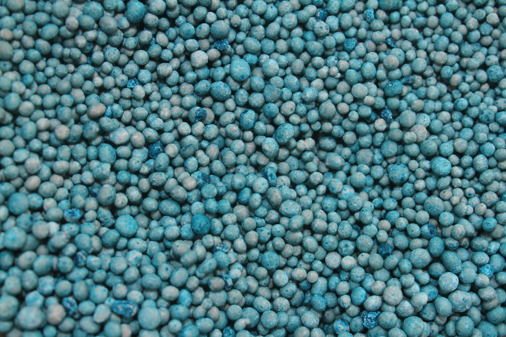 Vermicompost vs Chemical Fertilizers: Long-Term Impact on Soil Health