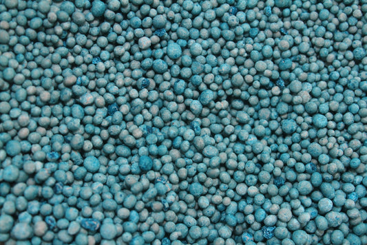 Vermicompost vs Chemical Fertilizers: Long-Term Impact on Soil Health