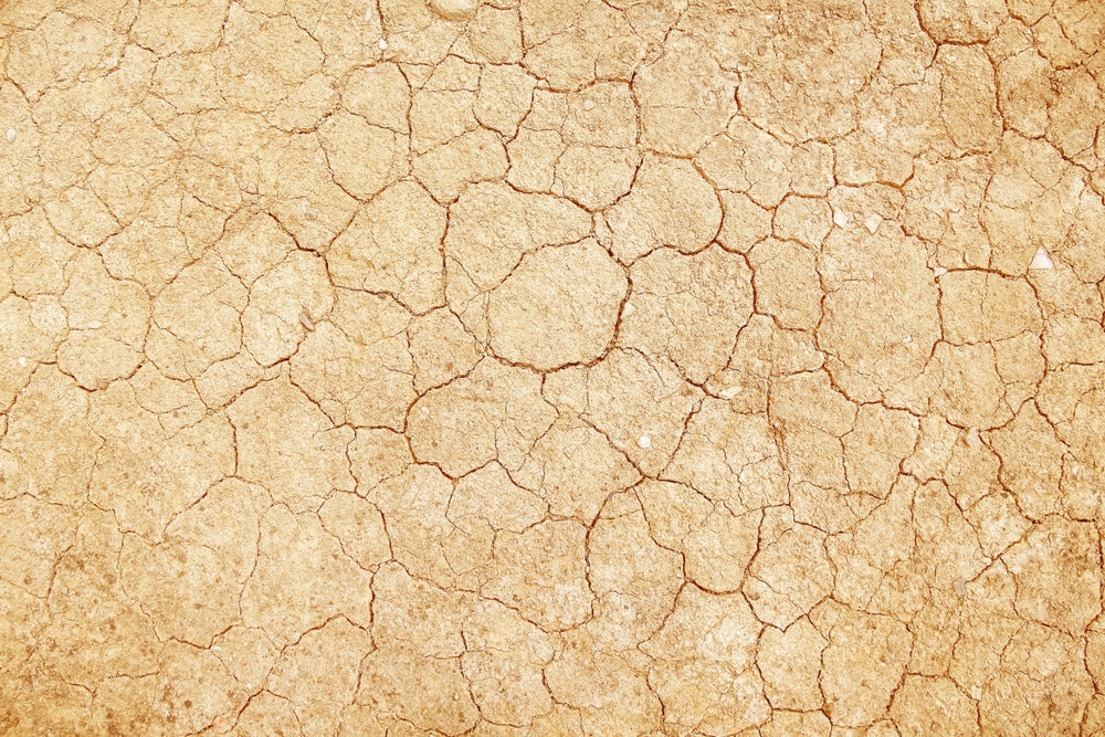 How to Revive Dead or Hard Soil Naturally: Bring Life Back to Your Land