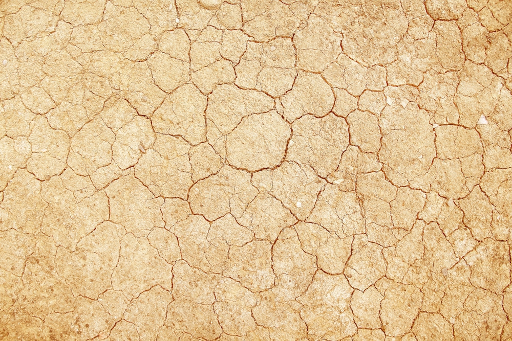 How to Revive Dead or Hard Soil Naturally: Bring Life Back to Your Land
