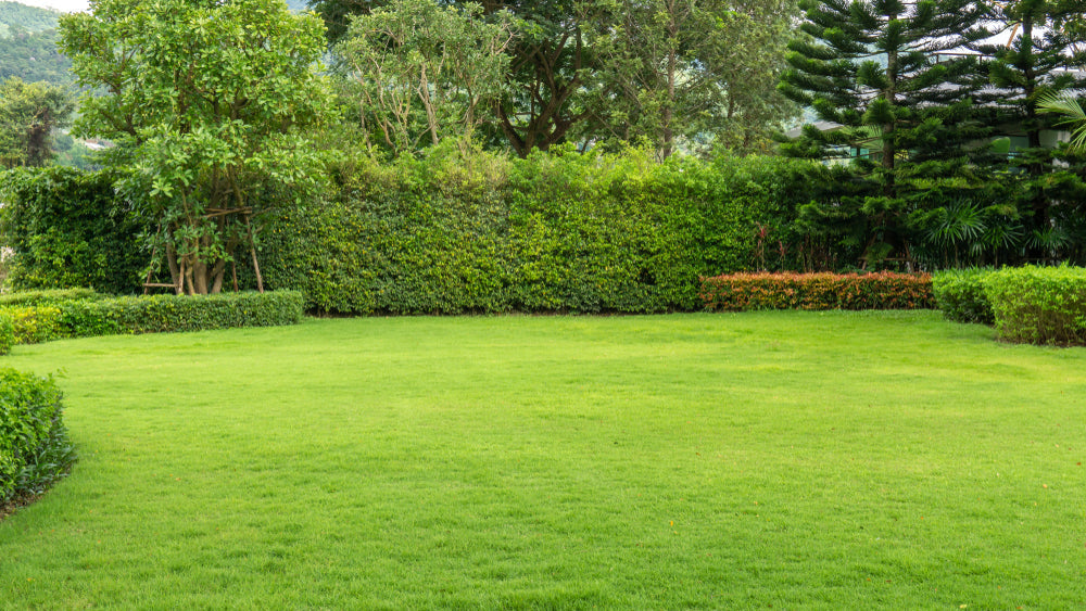 Vermicompost in Lawn Development and Landscaping Projects: Grow Green, Healthy Lawns Naturally