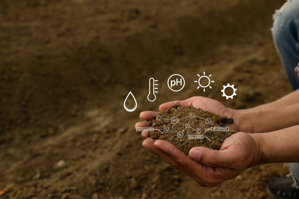 Vermicompost Quality Parameters Explained (pH, EC, Moisture) – Ensuring the Best for Your Plants