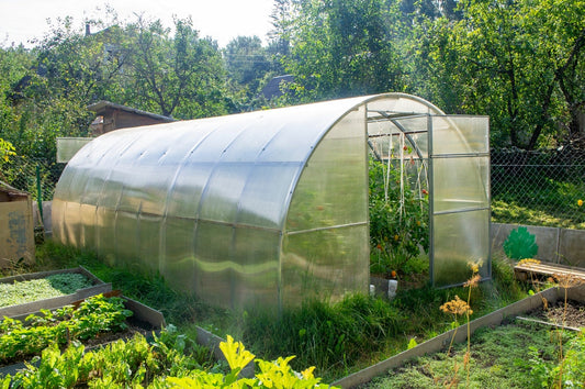 Organic Nutrition Plan for Polyhouse & Protected खेती: Boost Yield Naturally