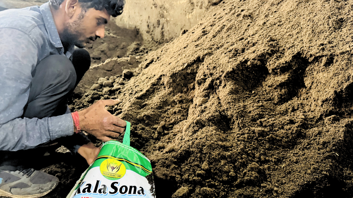 Sona being filled