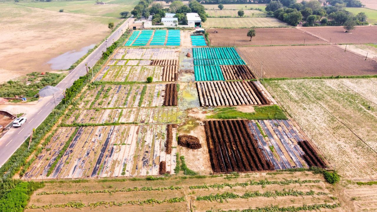 Our farm under refilling time