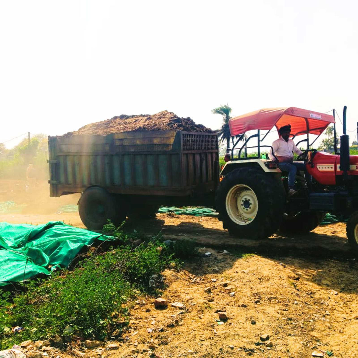 Cow Dung Inward