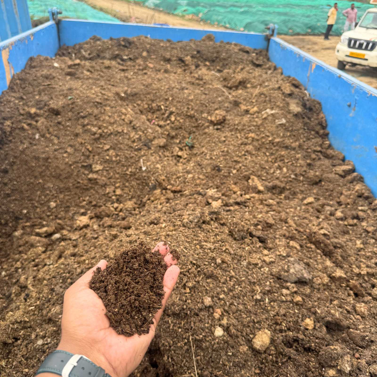Cow dung for beds