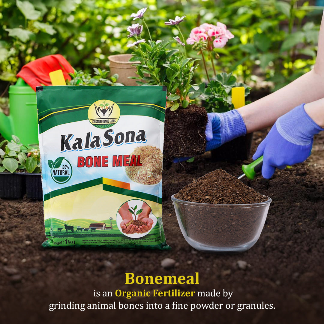 Kala Sona Bone Meal