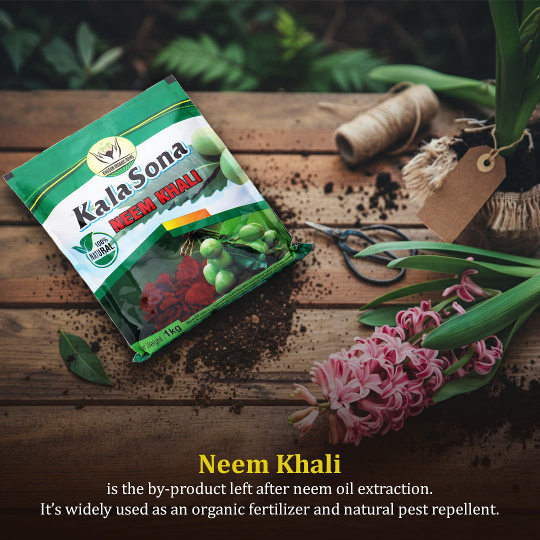 Kala Sona Neem Khali