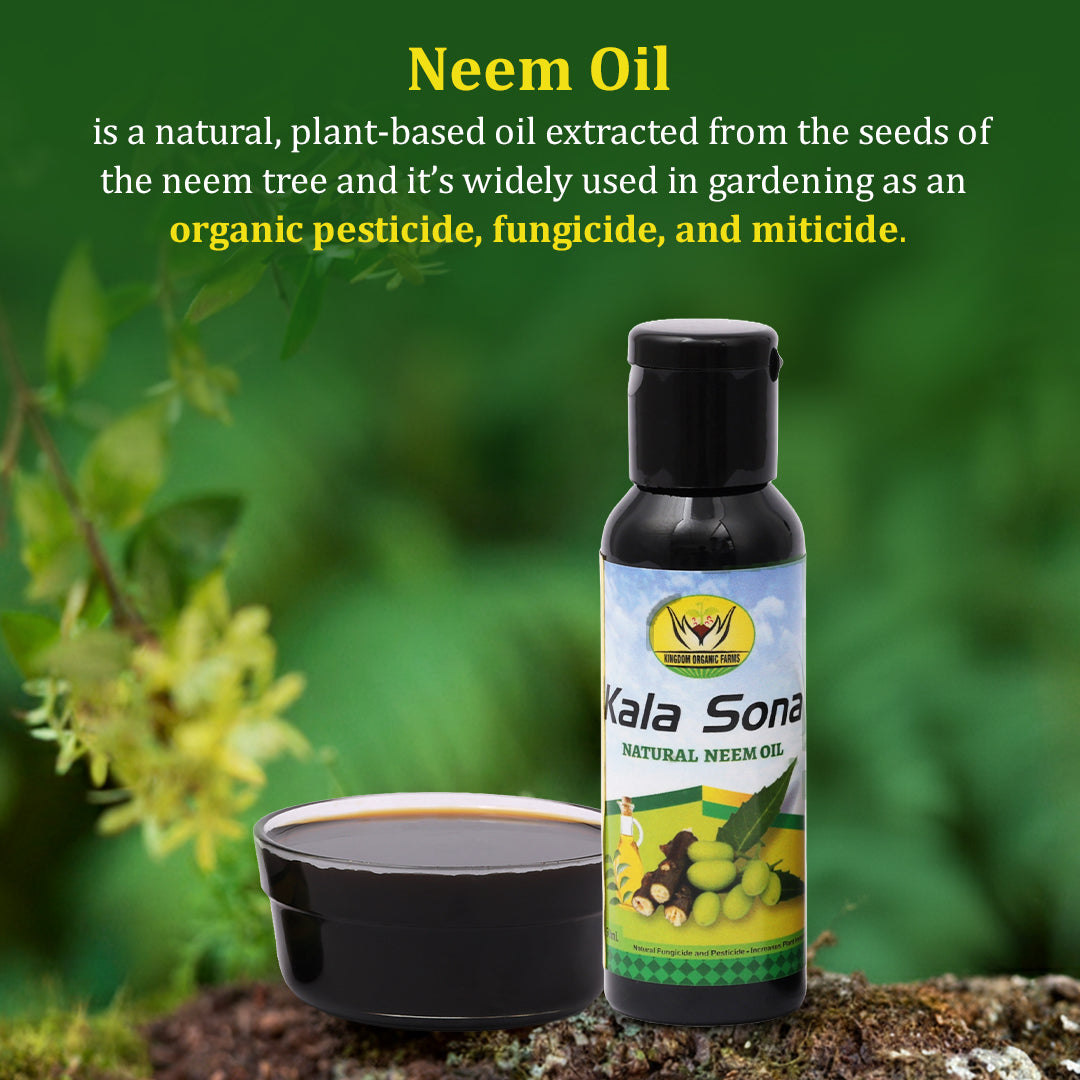 Kala Sona Neem Oil - 50 ml