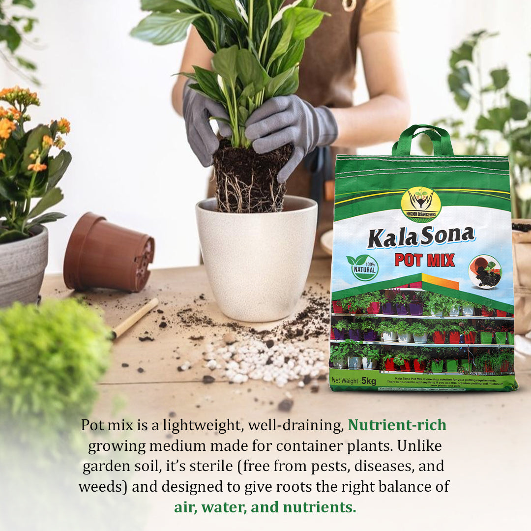 Kala Sona Pot Mix