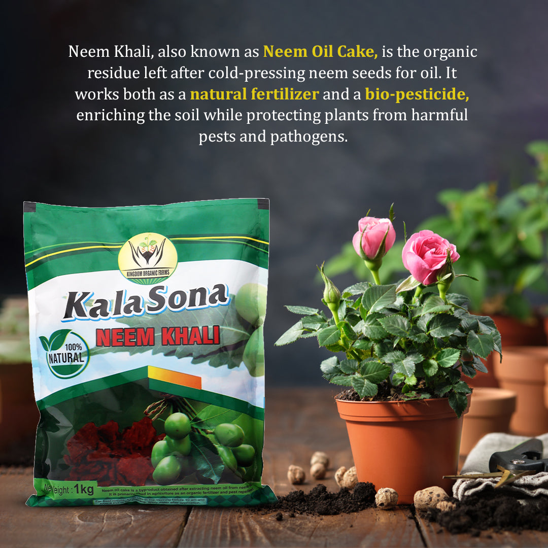 Kala Sona Neem Khali