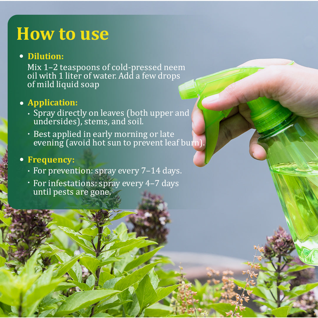 Kala Sona Neem Oil - 50 ml