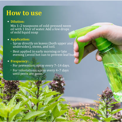 Kala Sona Neem Oil - 50 ml