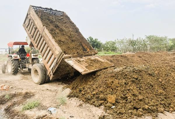 Cow dung collection