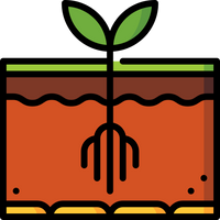 Cocopeat