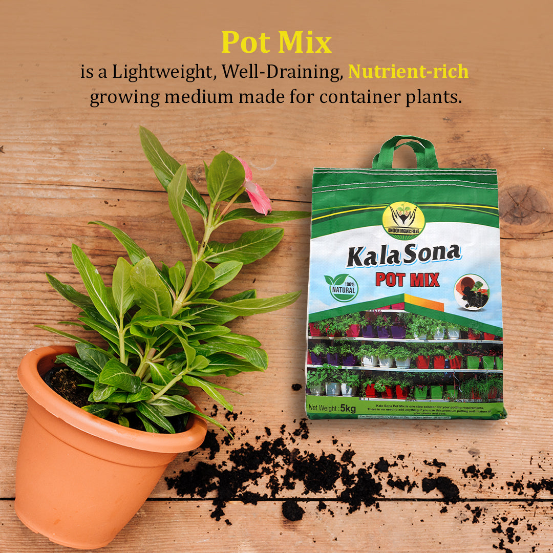 Kala Sona Pot Mix