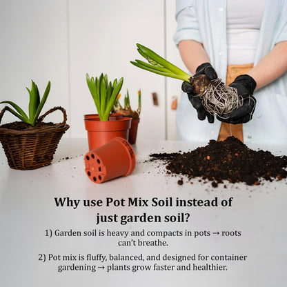 Potting Combo