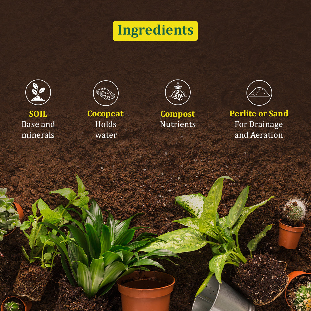 Kala Sona Pot Mix