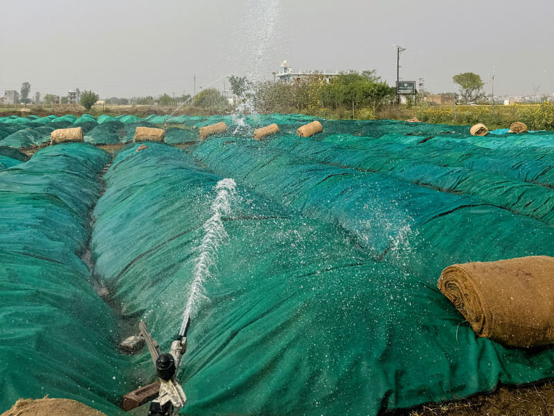 Covered windrows for controlled decomposition