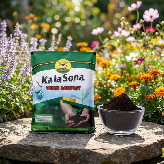 Kala Sona Vermicompost