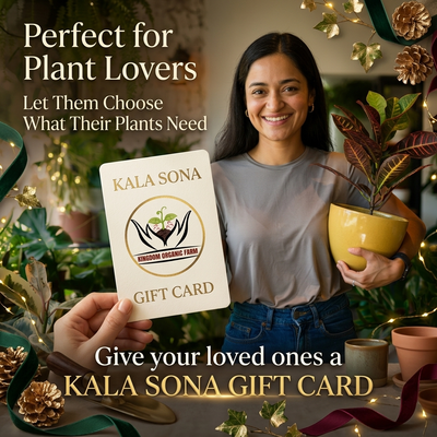 Kala Sona Gift Card