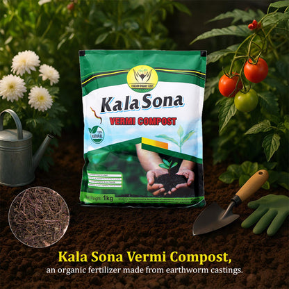 Kala Sona Vermicompost