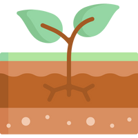 Potting Mix